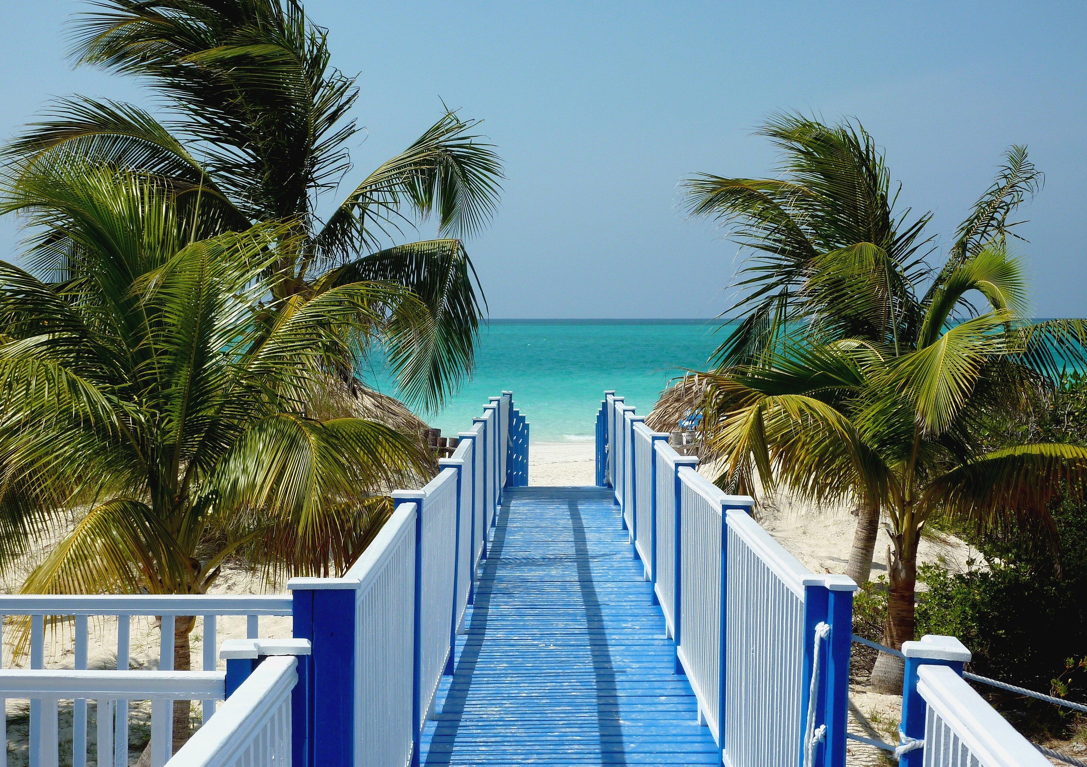 Weißer Sadnstrand zwischen Palmen und Meer mit blauem Steg